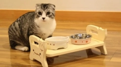 Cat bowls: как да изберем ястия за cattail